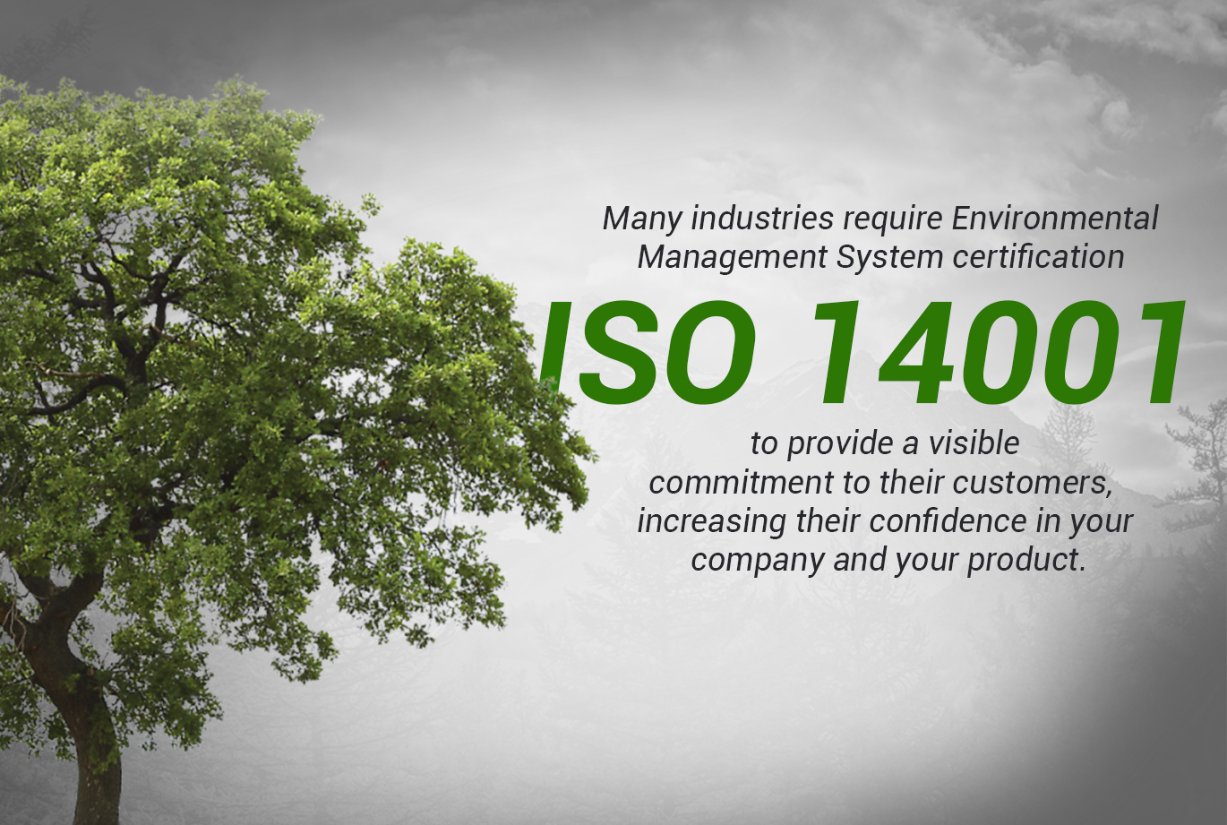 ISO 14001